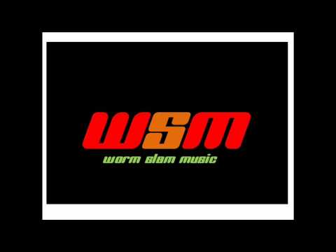 Worm Slam - What The Fuck Disco ? (Disco-House mix 2012).wmv