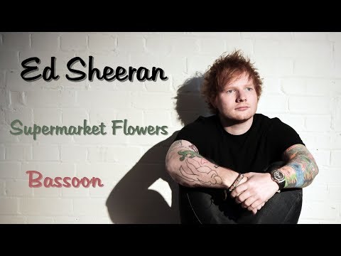 Ed Sheeran - Supermarket Flowers | Bassoon