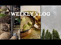 ASMR Weekly Vlog Market Run Living In Accra Life Of An Ambivert Raw And Unfiltered