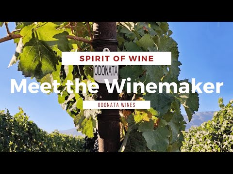 Meet the Winemaker - Odonata Wines