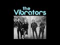 The Vibrators - Stitch You Up