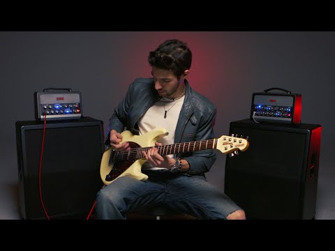 Roy Ziv - Leap Of Faith