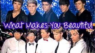 What Makes You Beautiful - One Direction &amp; Glee (Joe, Damian, Artie &amp; Sam)