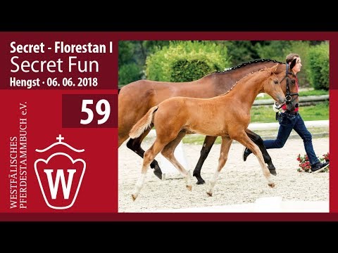 59 Secret Fun Hengst v. Secret - Florestan