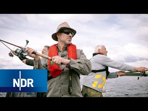 Den Havel-Hechten auf der Spur | Rute raus, der Spaß beginnt! | NDR