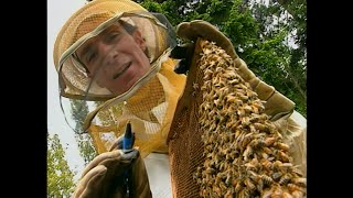 Bill Nye The Science Guy - S02E11 - Insects - Best Quality - 4K UPSCALED gameplay video by jerryuop, 22:55 duration