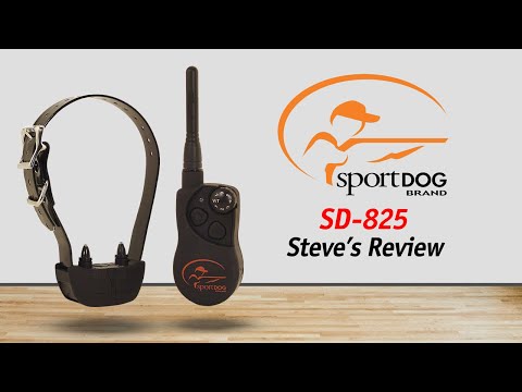 Steve's Reviews: SportDOG SD-825