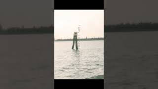 【RADWIMPSトリビュート】オーダーメイド arranged by 二ノ宮はぐ #radwimps #オーダーメイド #トリビュート #cover #歌ってみた #アレンジ