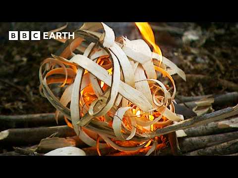 Ultimate Survival Skills From A Bushcraft Legend | Ray Mears' Bushcraft | BBC Earth Explore