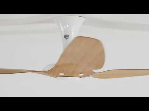 Big Ass Fans Haiku Ceiling Fan Low Profile Mount in White/Caramel Video