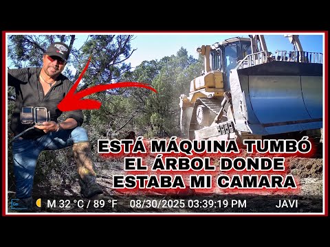 ADVENTURE 553 THIS MACHINE KNOCKED DOWN MY CAMERA AND EVERYTHING WAS RECORDED… WHY DID THEY DO IT???