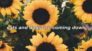 blonde on blonde // nada surf lyrics