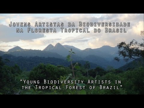 Young Biodiversity Artists- Tropical Forest Brazil