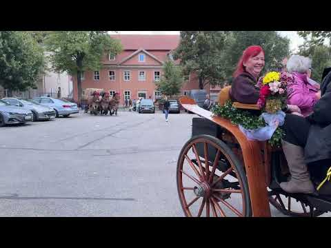 Ascania Pferdefestival Kutschen-Korso