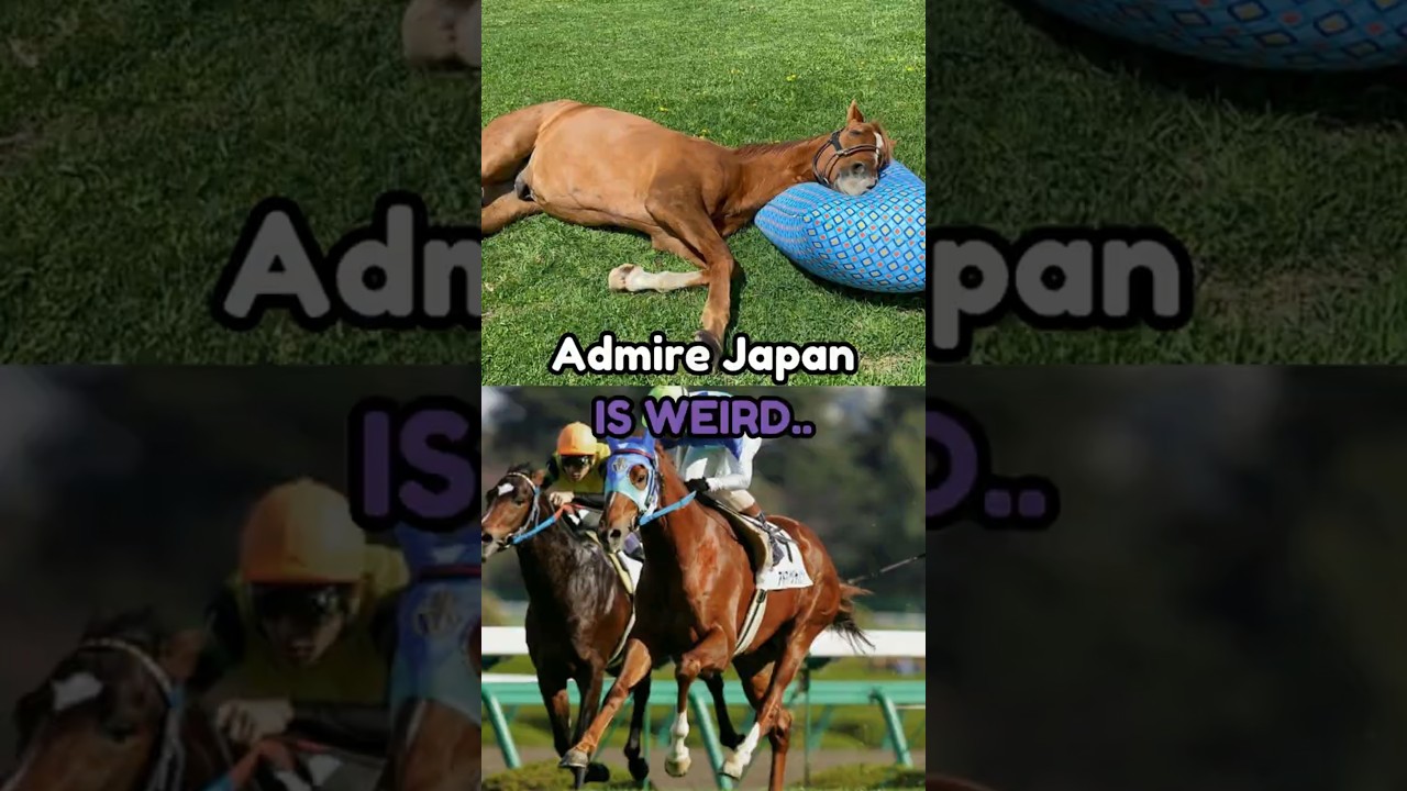 Admire Japan, the horse that LIKES mares a bit too much.. #umamusume