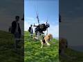 Paragliding With Dog Adventure Trip Dog Paragliding Music Newmusic Song Cover