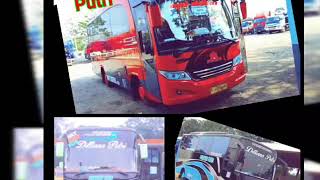 preview picture of video 'bus PT singa raja putra indah'