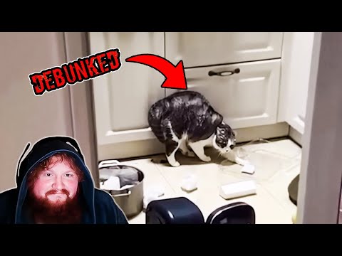 Nothing Stops CaseOh From Debunking Scary Videos