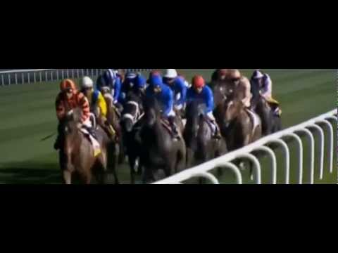 Dubai Duty Free 2013_Sajjhaa_Silvestre De Sousa