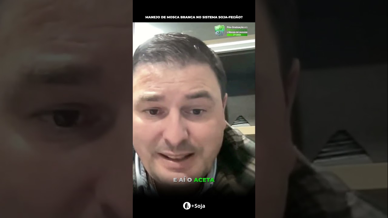 Mosca Branca na Soja e Feijão: Manejo Assertivo Revelado! #agro #maissoja