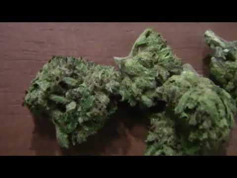 THE GREEN ROOM FINEST THCA CHOCOLATE HASHBERRY HEMP FLOWER