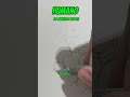 Quem Vence IA Ou Humano Desenhando O Smilingüido ️