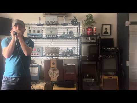 Vintage Custom Astatic JT-30 Bullet Harp Mic w/ Shure 99A86 CM Harmonica Microphone