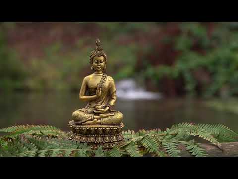 Relaxingvideo-Einschlafhilfe Genießen sie eine Stunde lang das leise Plätschern eines kleinen Baches