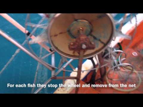 Sicilian Fishing Boat