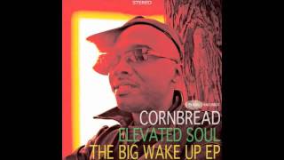 Cornbread & Elevated Soul-Ode to Hip Hop