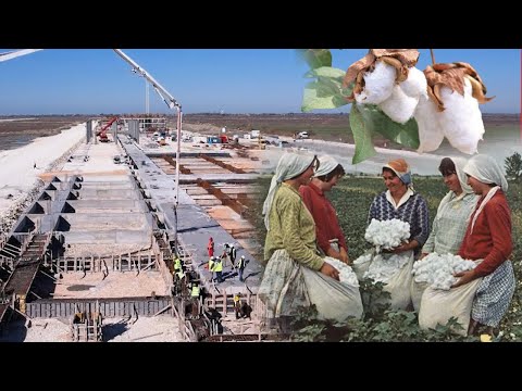 Prodhohej PAMBUK/ Fakte interesante nga 'thesari", MYZEQEJA ku po ndertohet Aeroporti i Vlores