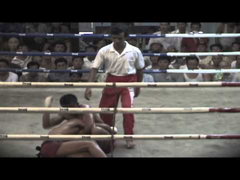 Born Warriors Promo Trailer