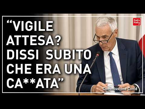 L'AUDIZIONE DI GIORGIO PALÙ IN COMM. COVID ▷ 