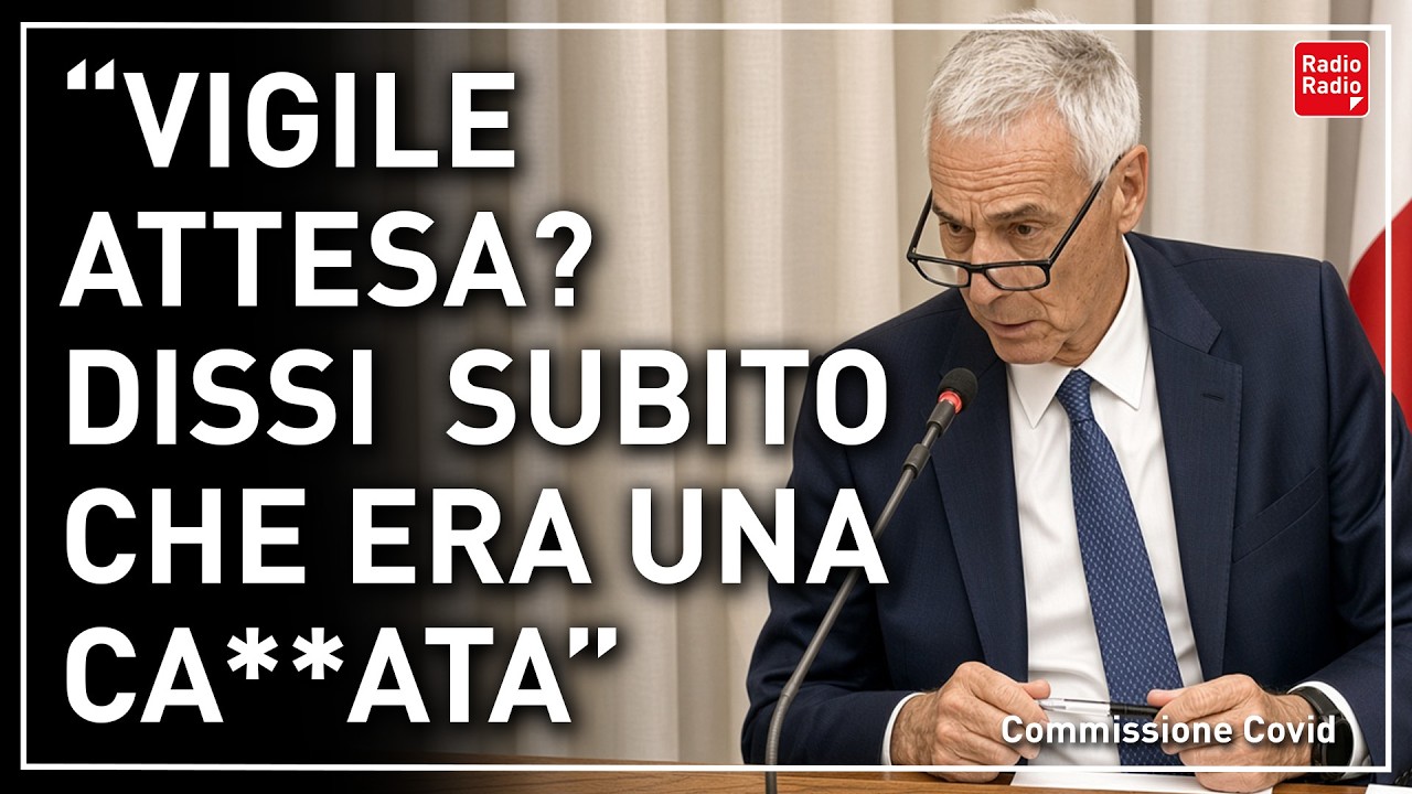 L'AUDIZIONE DI GIORGIO PALÙ IN COMM. COVID ▷ "PARACETAMOLO E VIGILE ATTESA FU UNA CA**ATA MADORNALE"
