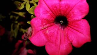*Senza far rumore...♥* Pensieri-in-musica