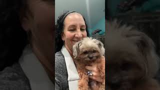 Catch up time with Amy, little Ricky & Chewy Catch up time with Amy, little Ricky & Chewy