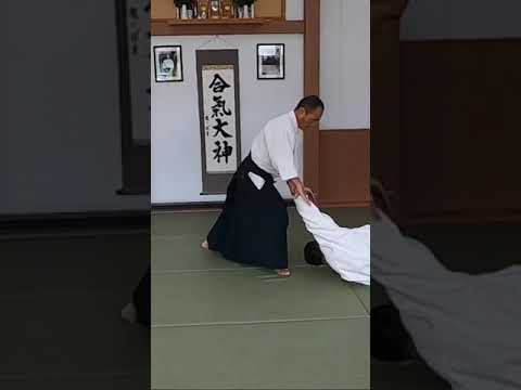 Aikido Techniques: Kotegaeshi 合気道の技　小手返し　🤩🐉🥋