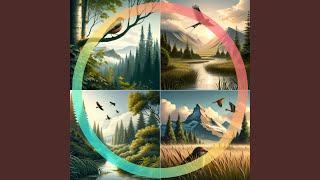 Rhythms of the Rainforest