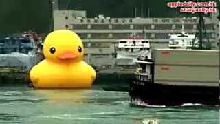 s`werelds grootste rubber eend komt aan in Hong Ko