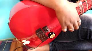 Pt niladri kumar style zitar made by javid sitarmaker