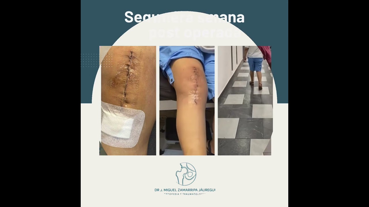 J. Miguel Zamarripa Jáuregui-30