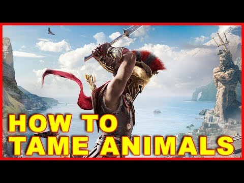 Part of a video titled Assassin's Creed Odyssey: How to Tame Animals - YouTube