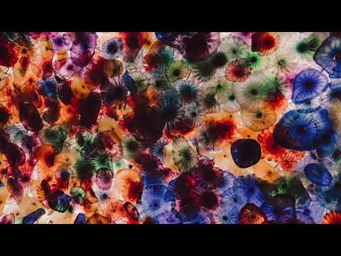 Robilardo - Deserted Spring