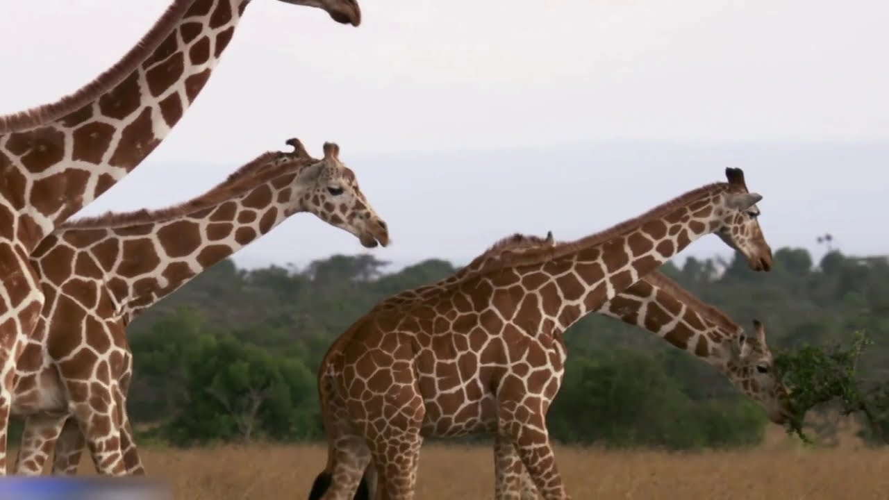 Maravilhas Ocultas da África