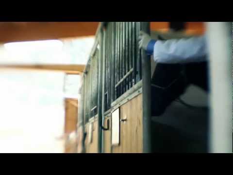 Ka mate Ka ora - Morning regret