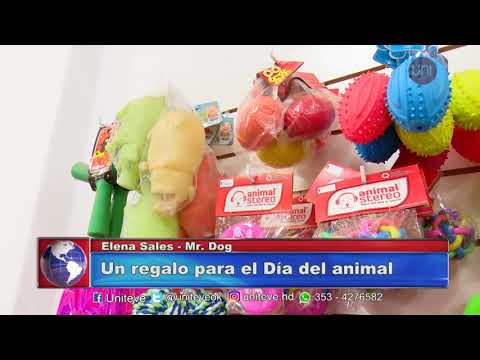 Día del animal: Regalos para mascotas