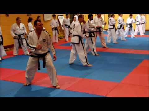 ITF Eireann - Black Belt Training Seminar
