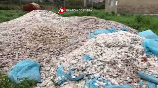 dischetti-in-mare-il-video-della-capitaneria-di-porto