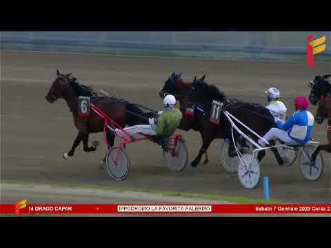 II corsa del 7 gennaio 2023 - 4 Anni - Metri 2000 - Gentlemen