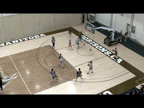 Winnipeg Wesmen vs Algoma Thunderbirds | Women's Basketball